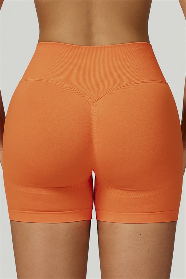 The Prime Long Sleeve Crop Top Shorts 2-Piece Set
