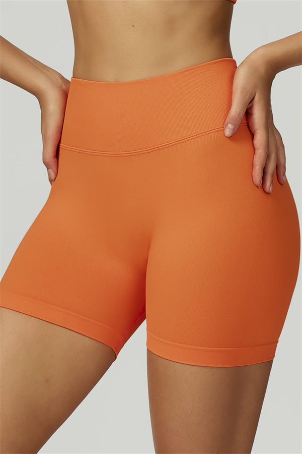 The Prime Long Sleeve Crop Top Shorts 2-Piece Set